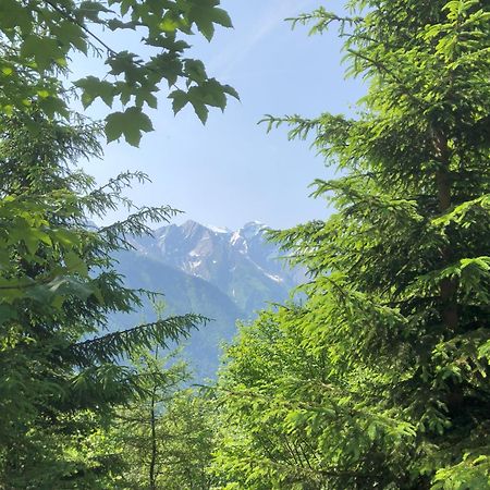 Haus Voglreiter - Inkl Sommerkarte, Zentrale Und Ruhige Lage, Garten Mit Spielplatz Kaprun Εξωτερικό φωτογραφία