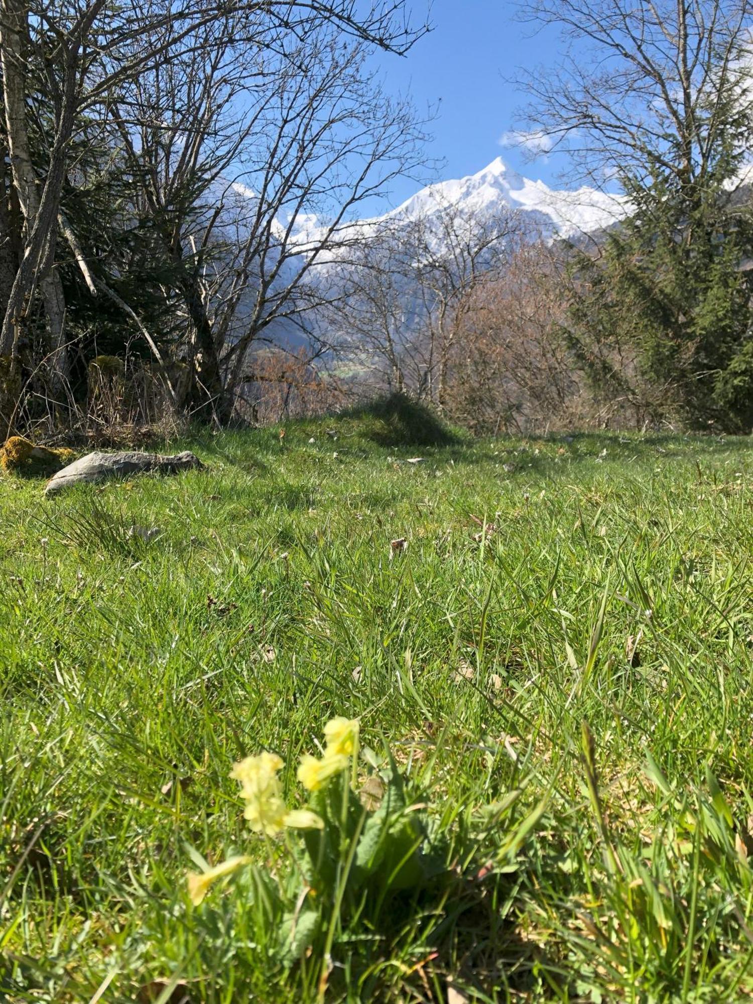 Haus Voglreiter - Inkl Sommerkarte, Zentrale Und Ruhige Lage, Garten Mit Spielplatz Kaprun Εξωτερικό φωτογραφία